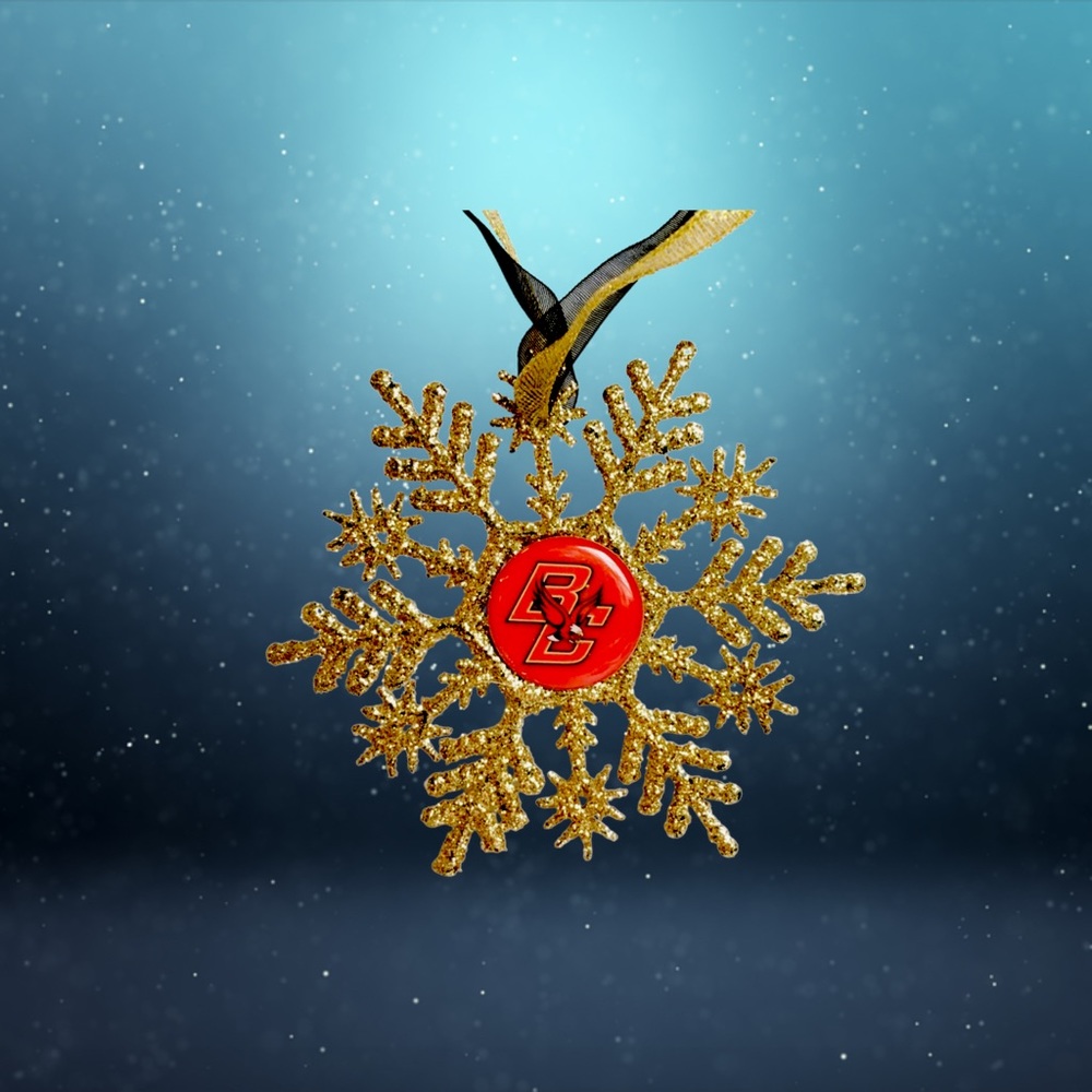 Boston College EAGLES Handmade Snowflake *NEW*